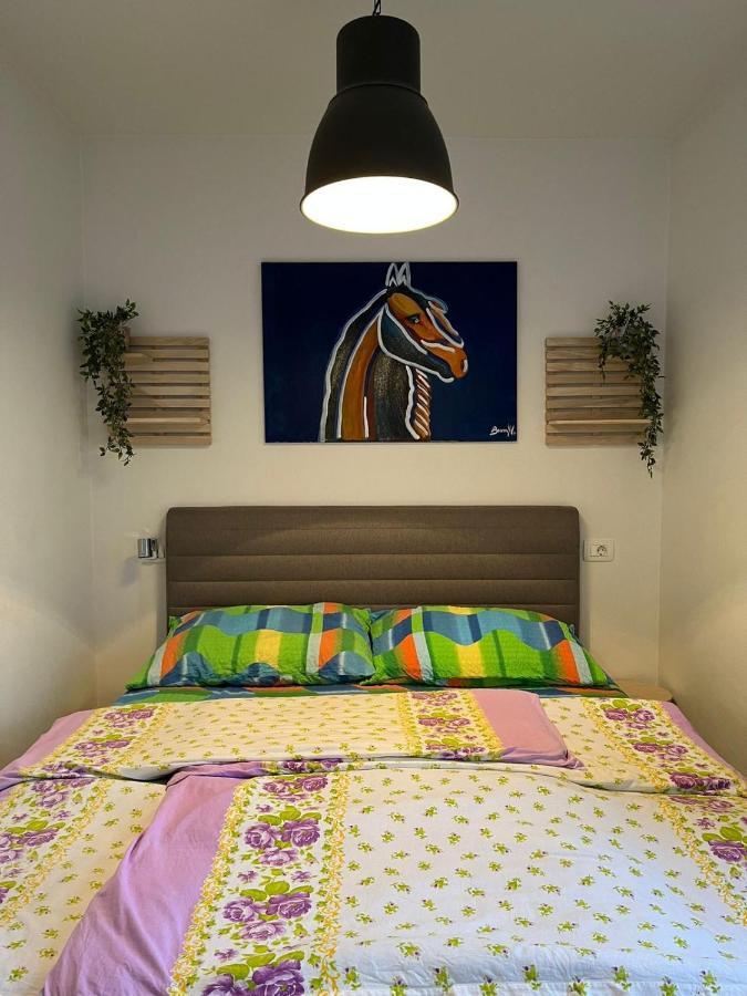 Apartment Sun&Sea, Senj, Prvi Red Do Mora Сен Екстериор снимка